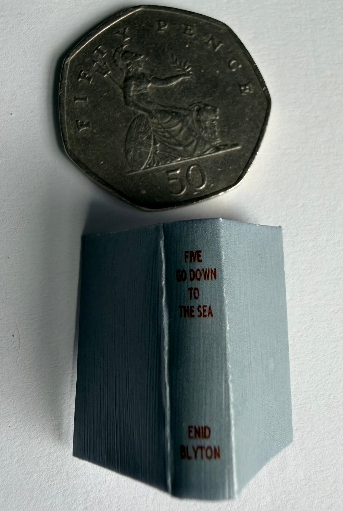 Five Go Down to The Sea 1:12 2x3 miniature, detachable jacket