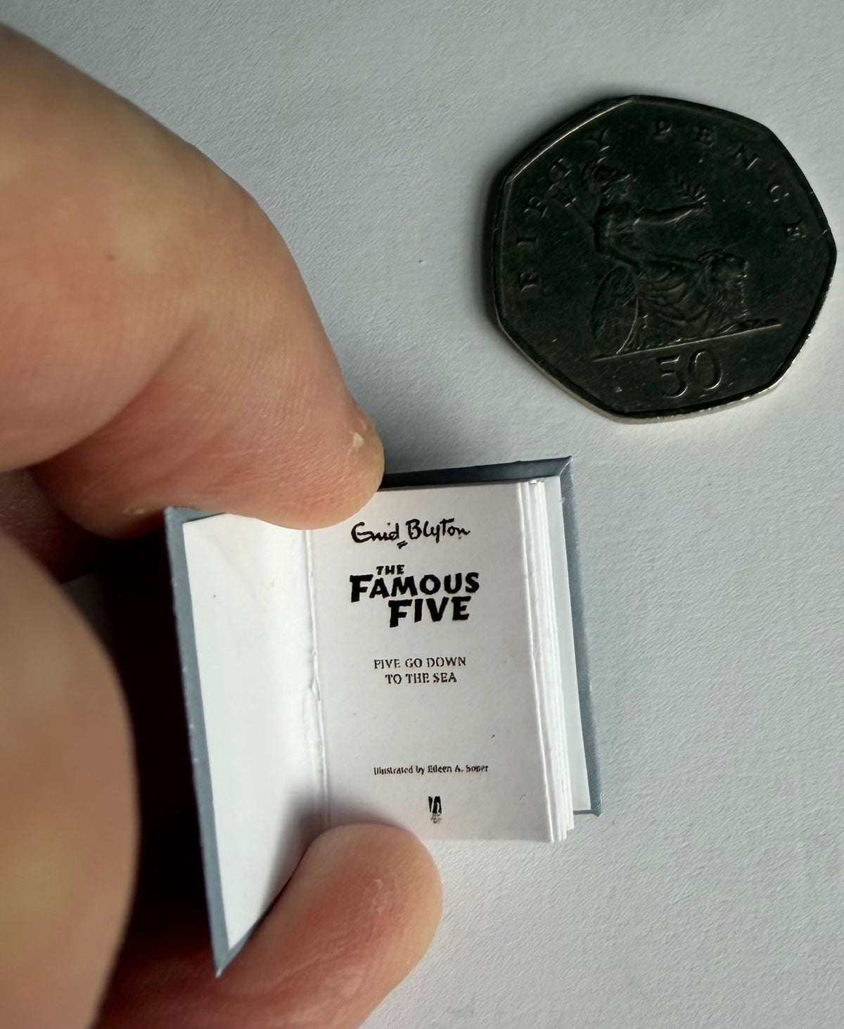 Five Go Down to The Sea 1:12 2x3 miniature, detachable jacket