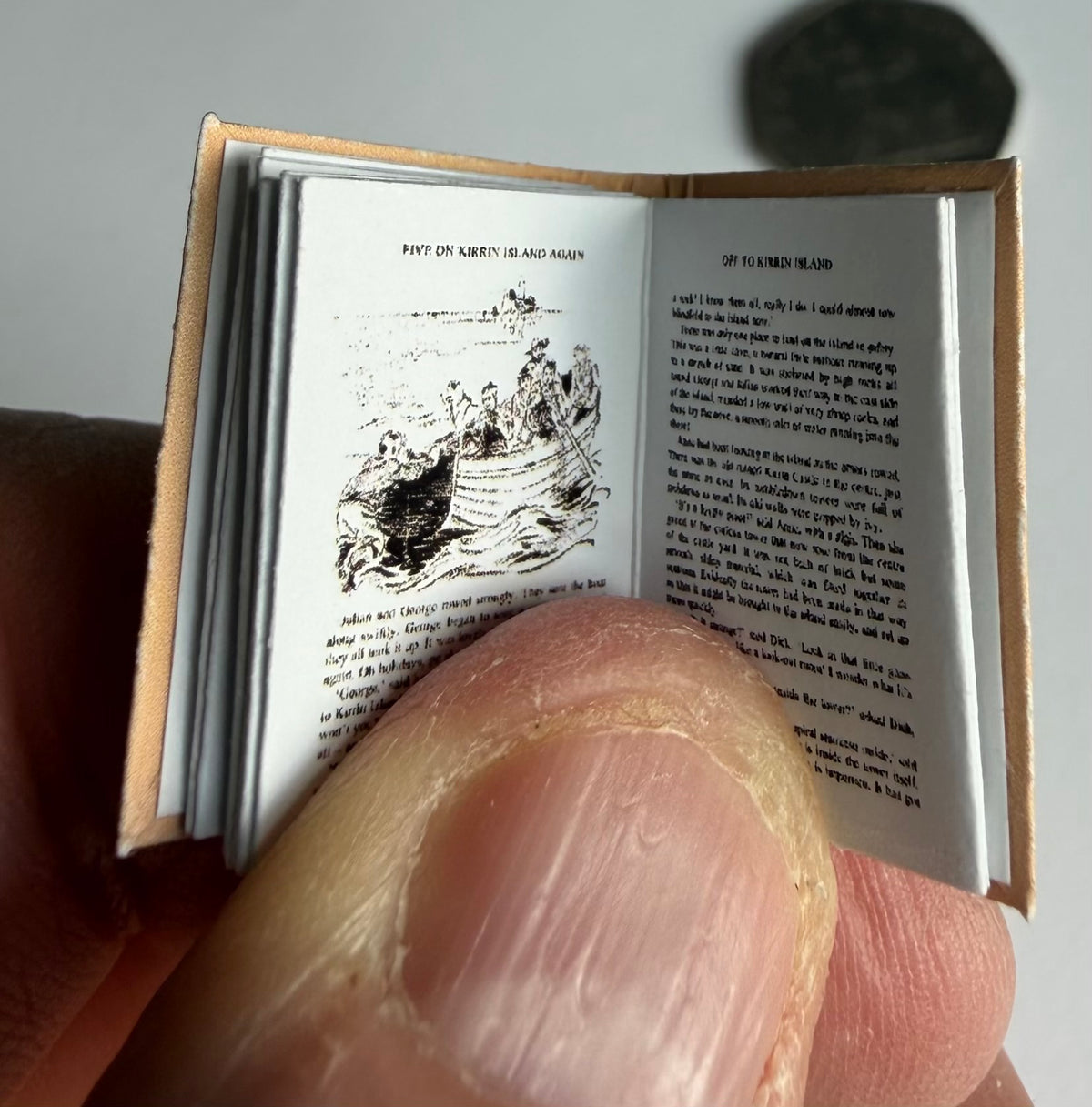 Five On Kirrin Island Again 1:12 2x3mm miniature fully opening detachable dust jacket