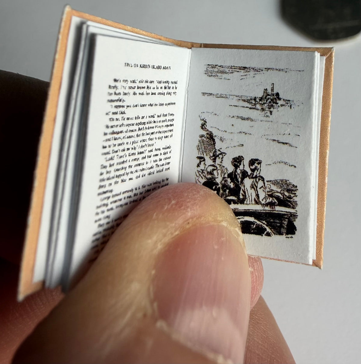 Five On Kirrin Island Again 1:12 2x3mm miniature fully opening detachable dust jacket