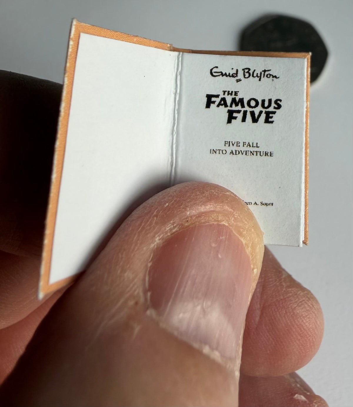 Five Fall Into Adventure 1:12 scale 2x3mm Opening Books. Very cute
