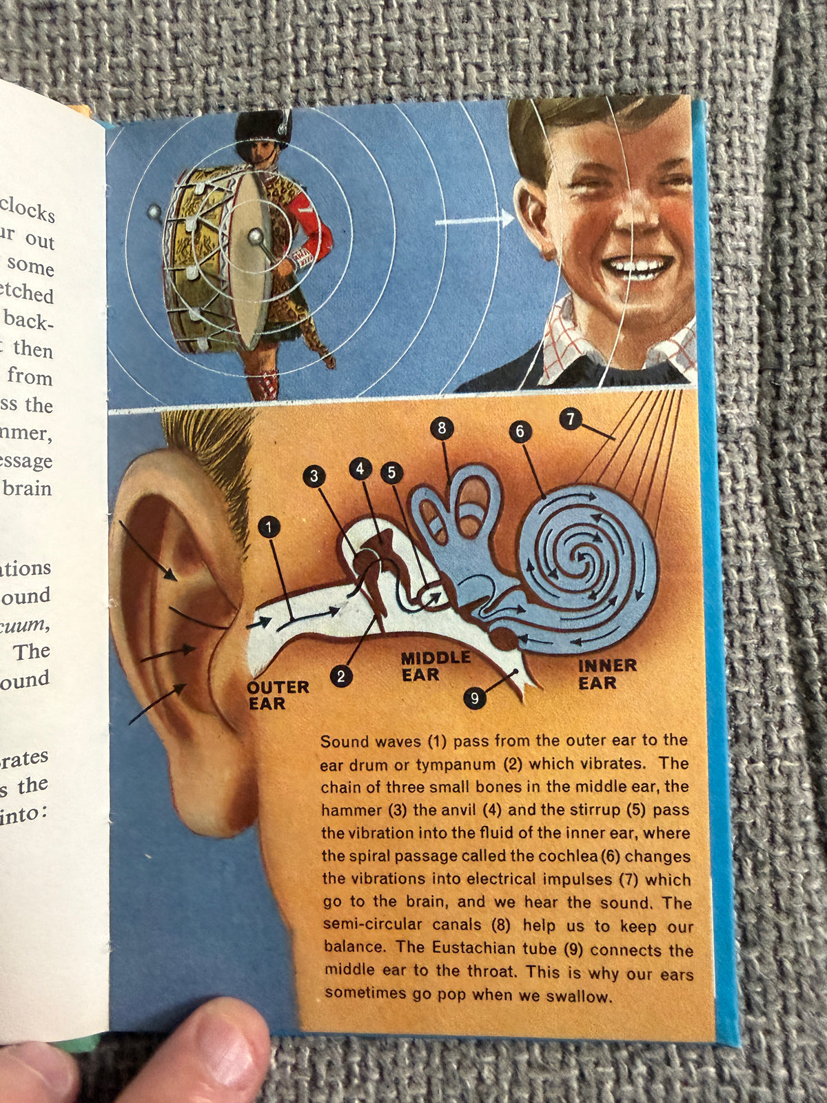 1966 Musical Instruments (Ladybird Series 662) Ann Rees (Robert Ayton illust) Wills & Hepworth