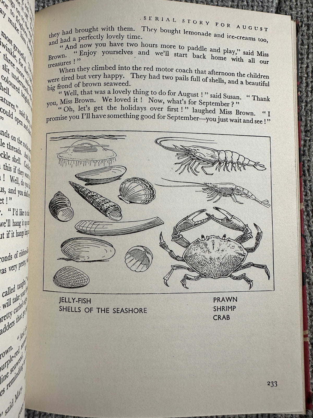 1942 Enid Blyton’s Book Of The Year (Music Alec Rowley Illust Harry Rountree) The Evans Brothers Published