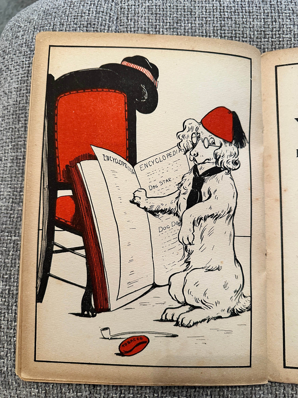 1923 Dorothy Dimity (Printed in The British Isles - Honeyburn Books (UK)