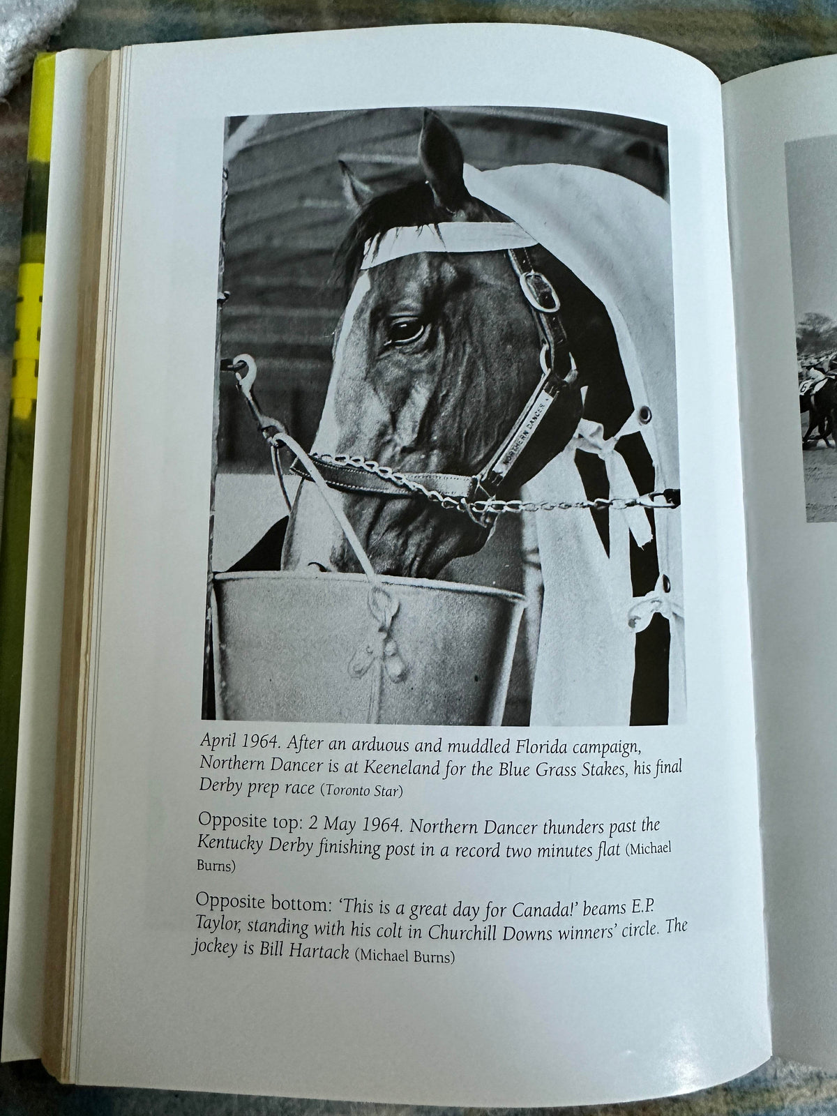 1999*1st* Northern Dancer - Muriel Lennox(Mainstream Publishing) - Honeyburn Books (UK)