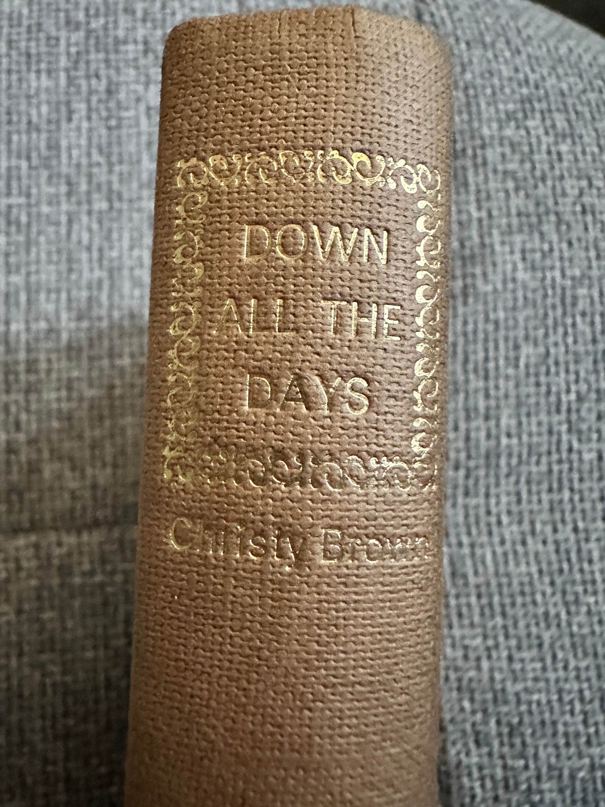 1970*1st* Down All The Days - Christy Brown(Book Club) - Honeyburn Books (UK)