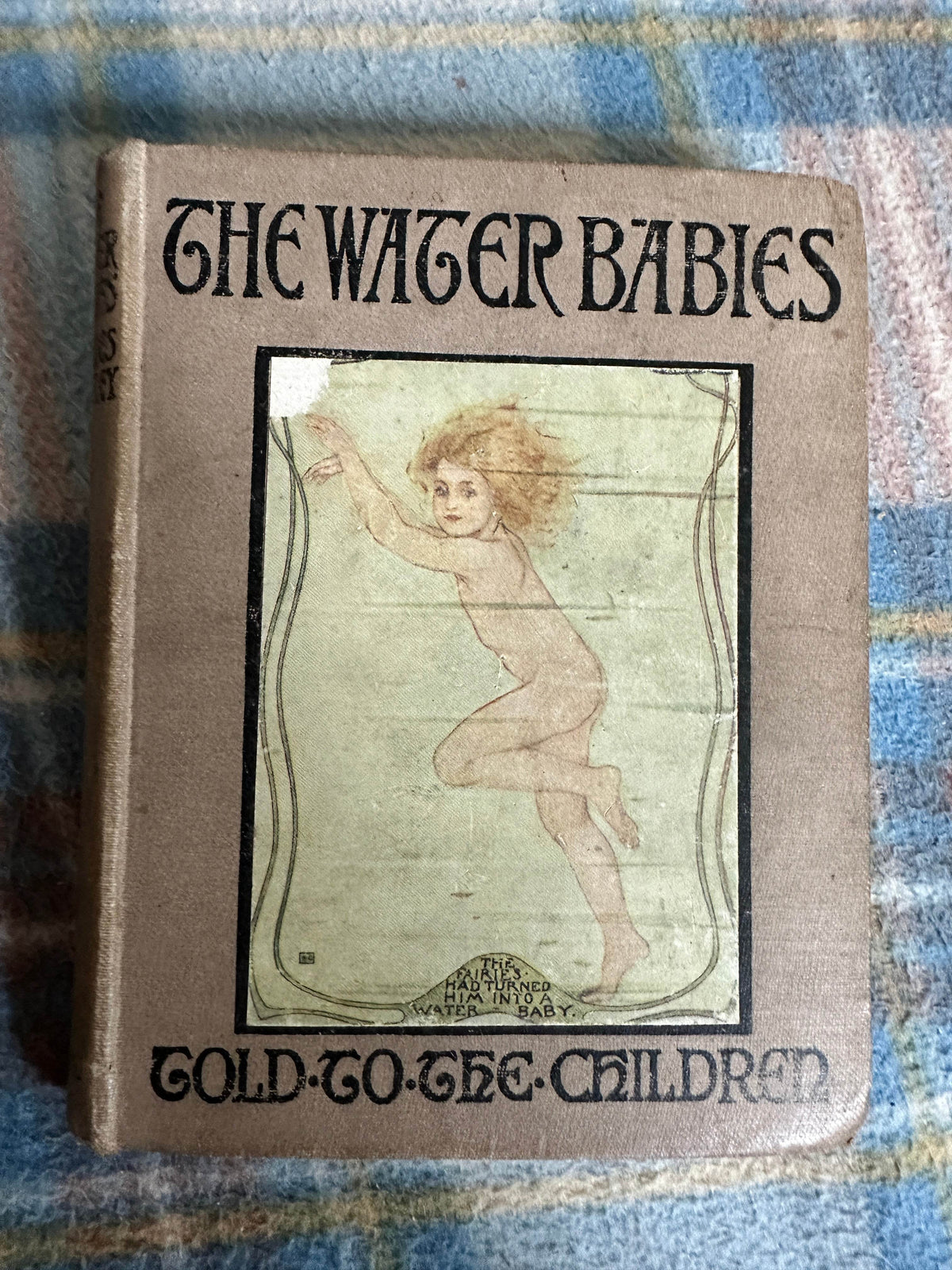1920 The Water Babies(Told To The Children)Amy Steedman(Katharine Cameron illustration)T. C. & E. C. Jack Ltd. - Honeyburn Books (UK)