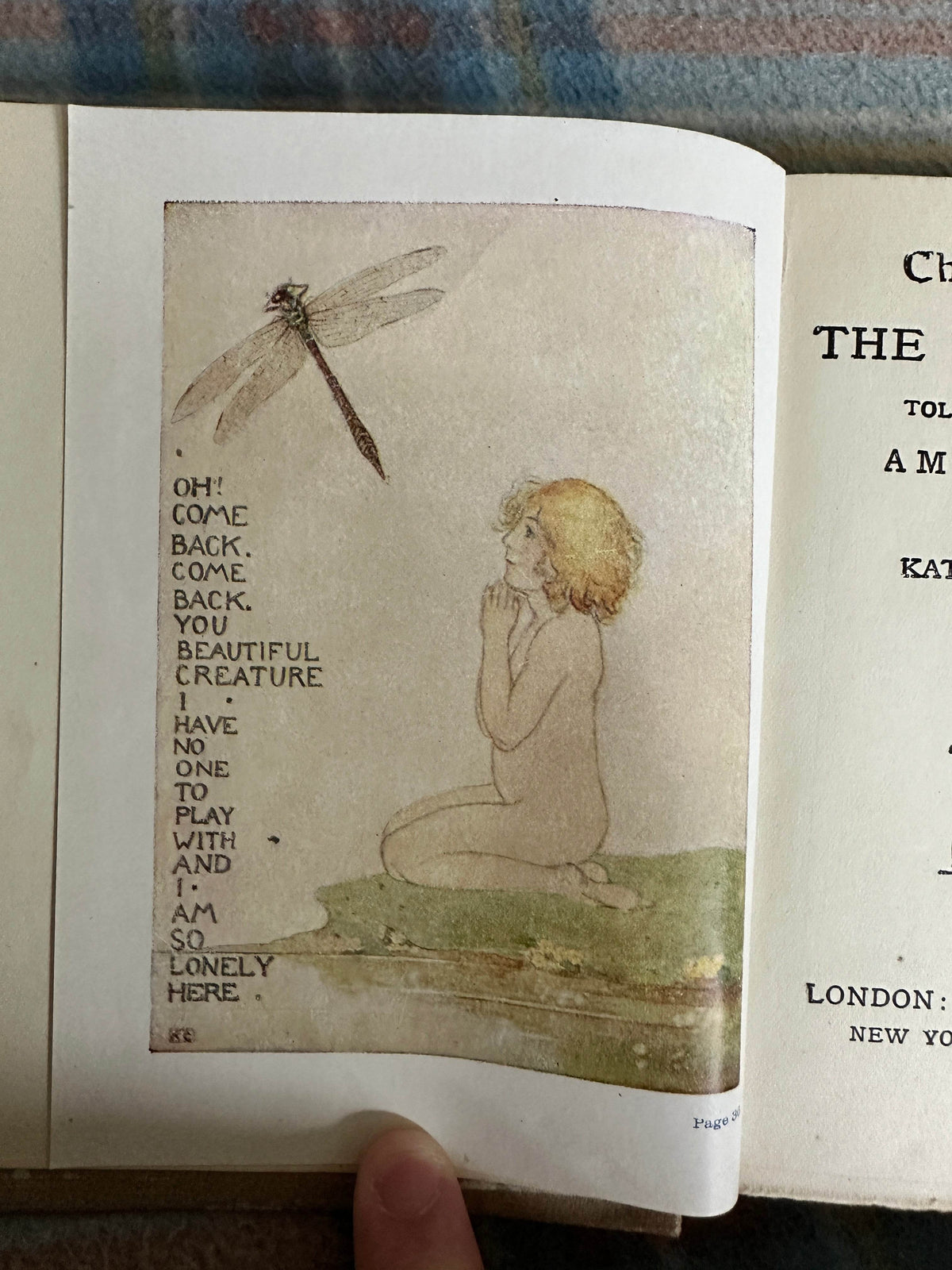 1920 The Water Babies(Told To The Children)Amy Steedman(Katharine Cameron illustration)T. C. & E. C. Jack Ltd. - Honeyburn Books (UK)