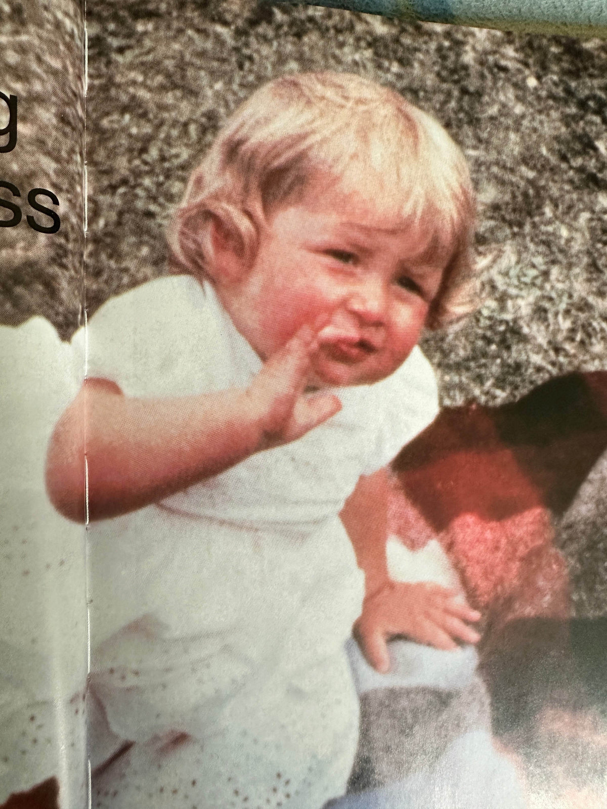 1997 A Tribute To The People’s Princess Diana - Peter Donnelly(Bramley Books) - Honeyburn Books (UK)