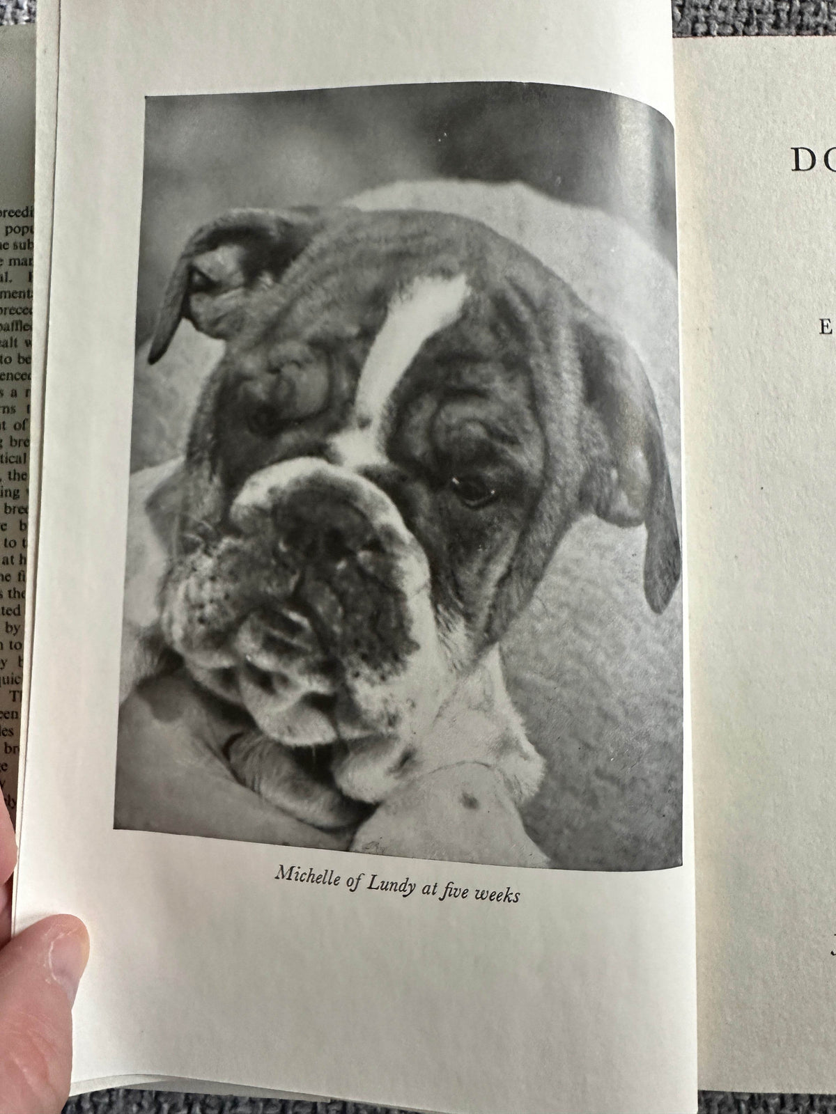 1951*1st* The Dog Breeder’s Manual - Eric Fitch Dalglish(Dent) - Honeyburn Books (UK)