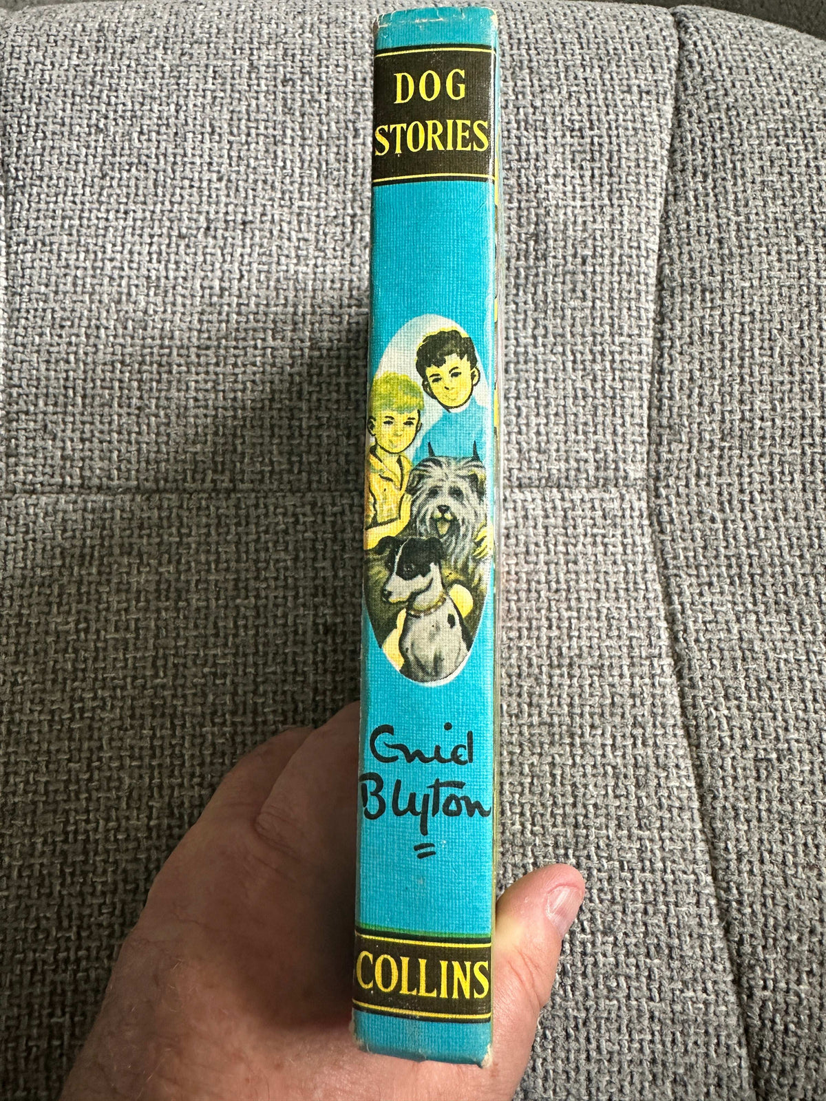1969 Dog Stories (Junior Story Books) Enid Blyton (Collins)