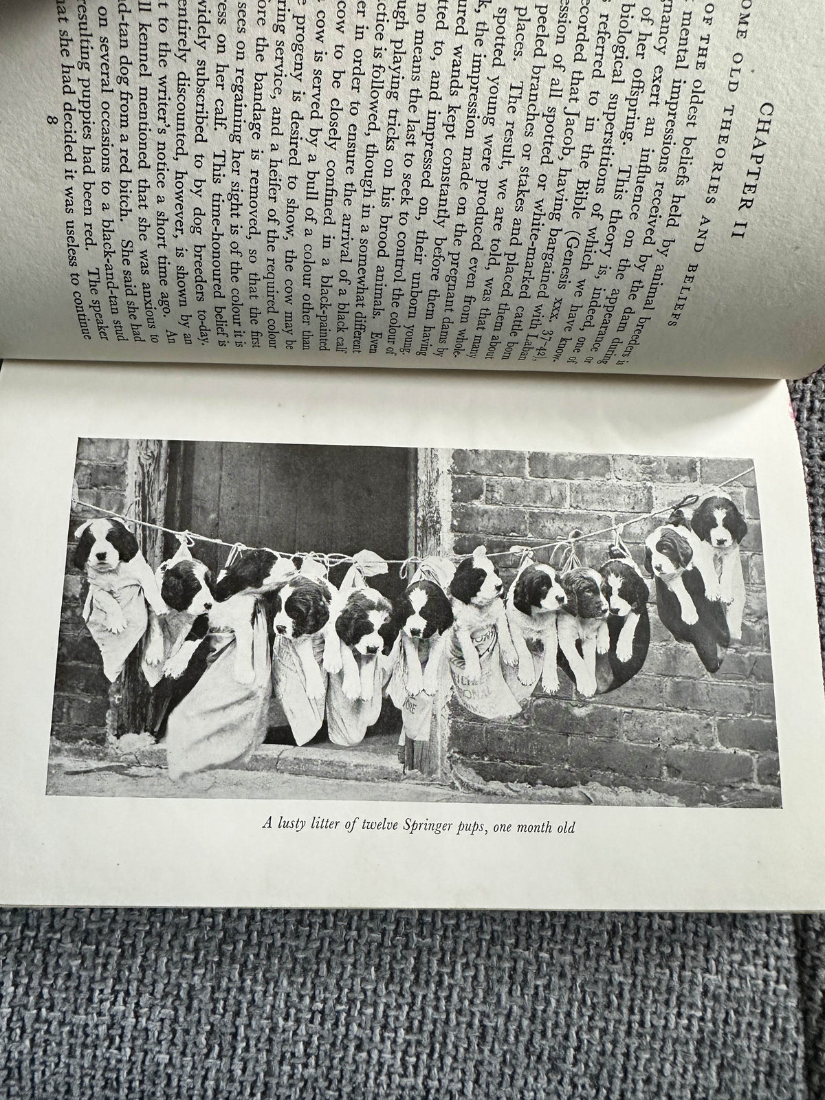 1951*1st* The Dog Breeder’s Manual - Eric Fitch Dalglish(Dent) - Honeyburn Books (UK)