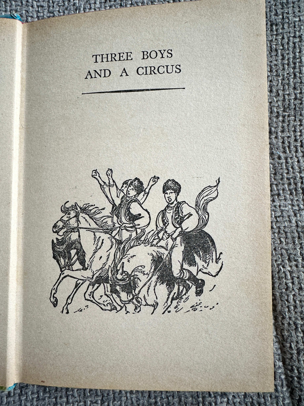1969 Dog Stories (Junior Story Books) Enid Blyton (Collins)