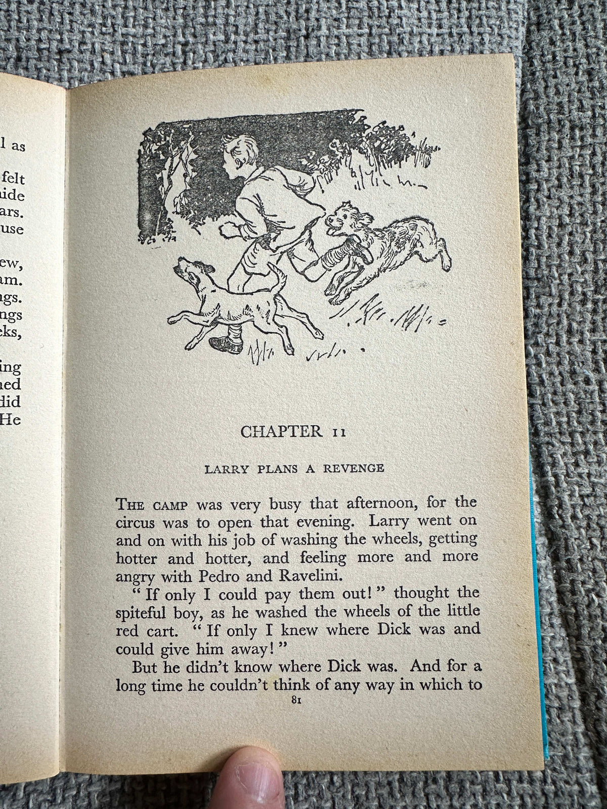 1969 Dog Stories (Junior Story Books) Enid Blyton (Collins)