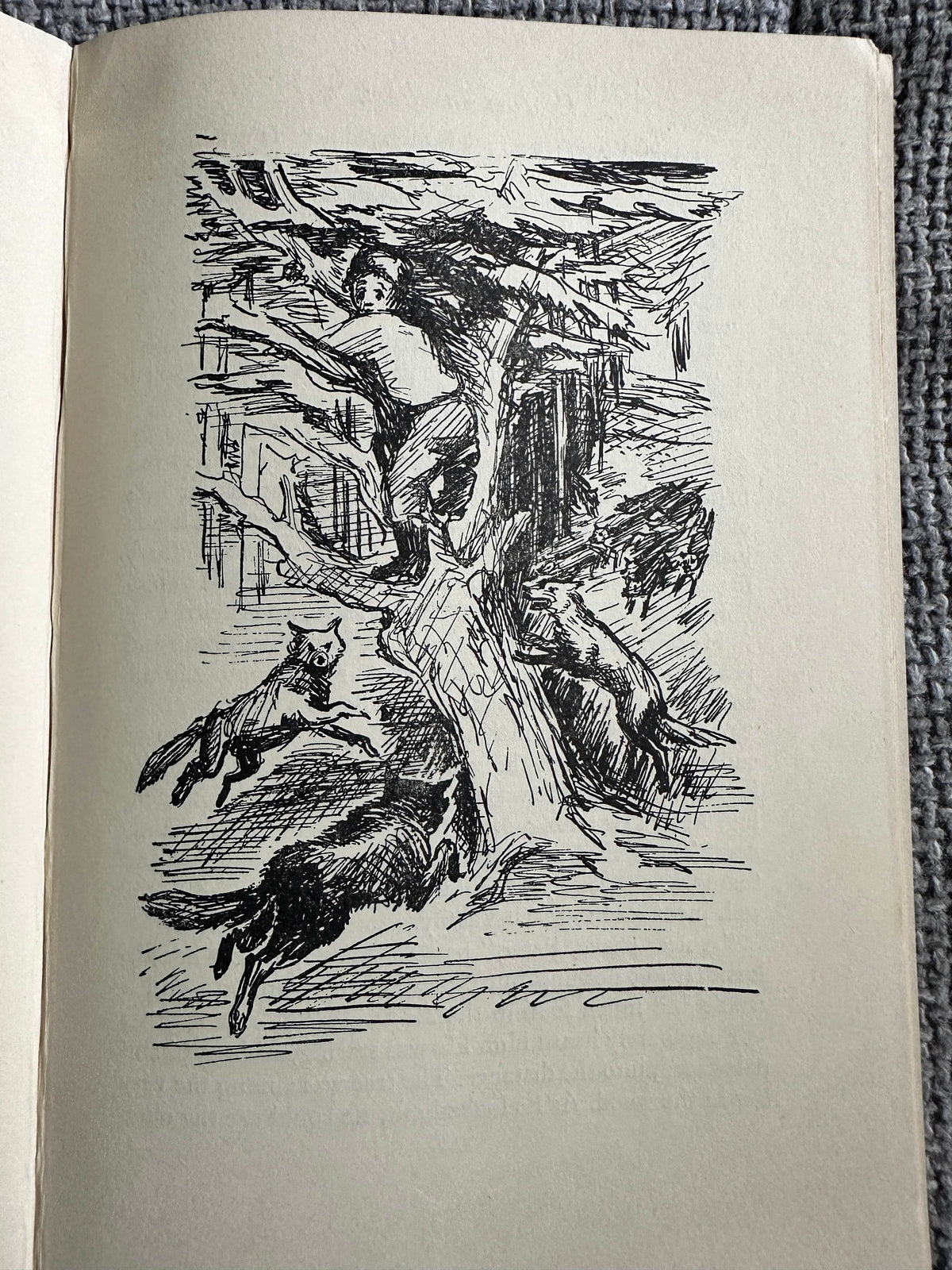 1950*1st* The Boy In Samarkand- George Sava(Margaret Wolpe Illust)Faber and Faber - Honeyburn Books (UK)