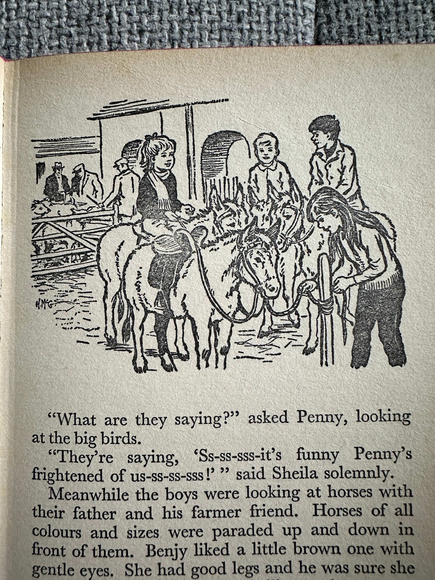 1970 Adventures On Willow Farm (Junior Story Books) Enid Blyton (Collins)