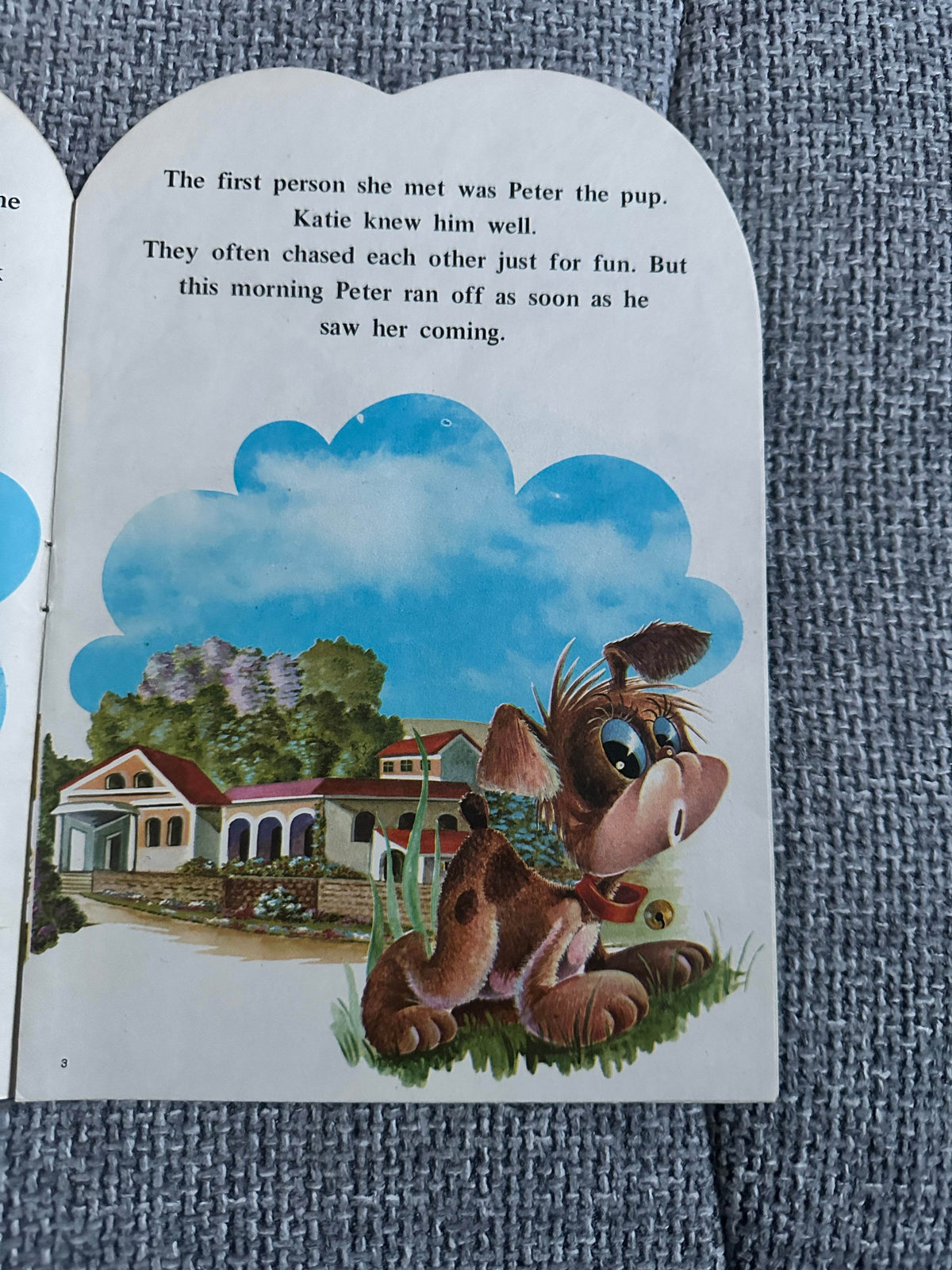 1973 Katie’s Best Friend(Albor Series)Sandles - Honeyburn Books (UK)