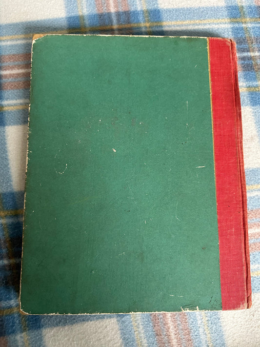 1930’s Bijou The Little Bear - Pierre Amiot(Translated from French by Jacqueline De Leon) Thames & Hudson. - Honeyburn Books (UK)