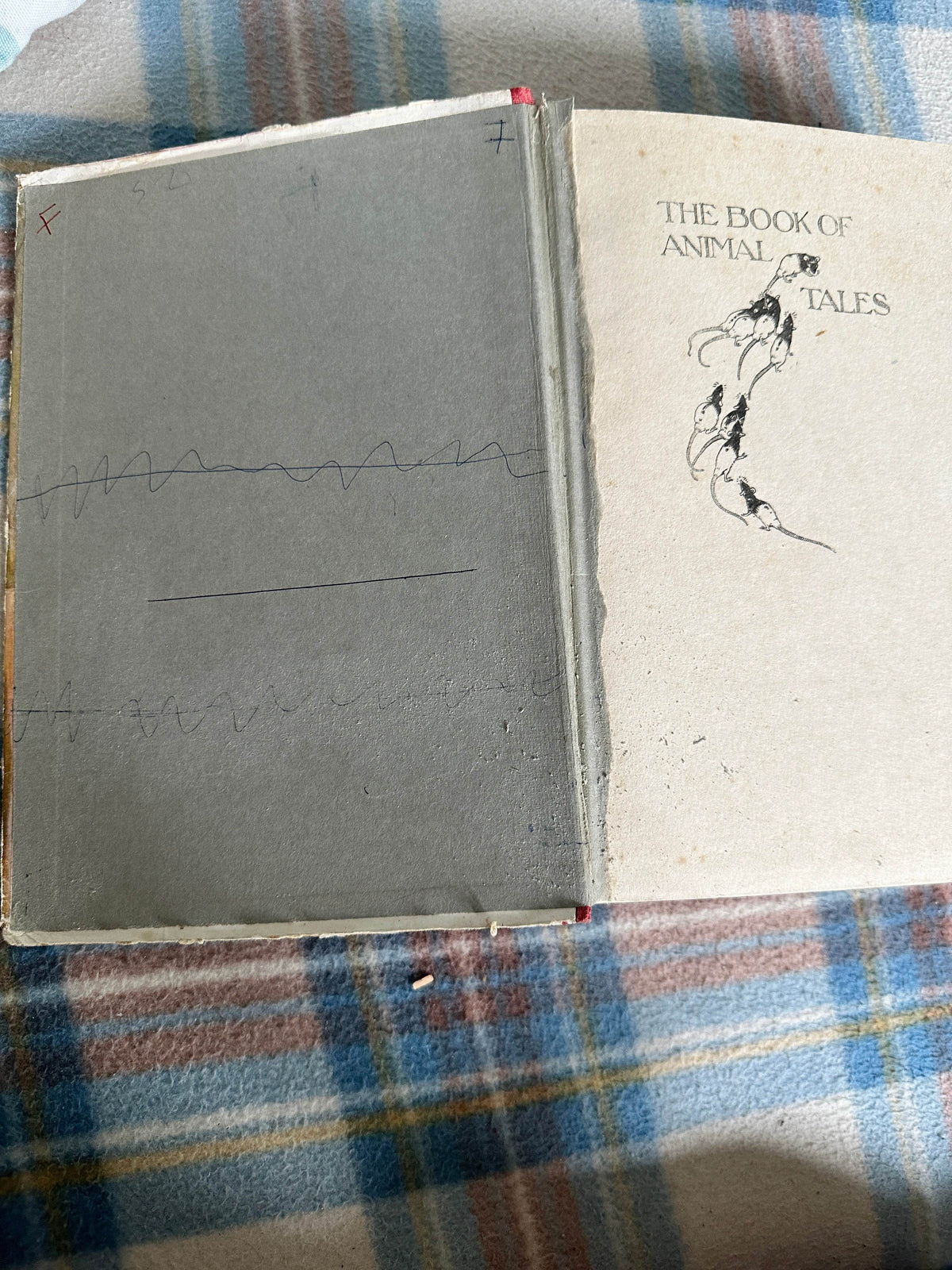 1932 The Book Of Animal Tales - Stephen Southwold (Honor C. Appleton illustration)George Harrap - Honeyburn Books (UK)