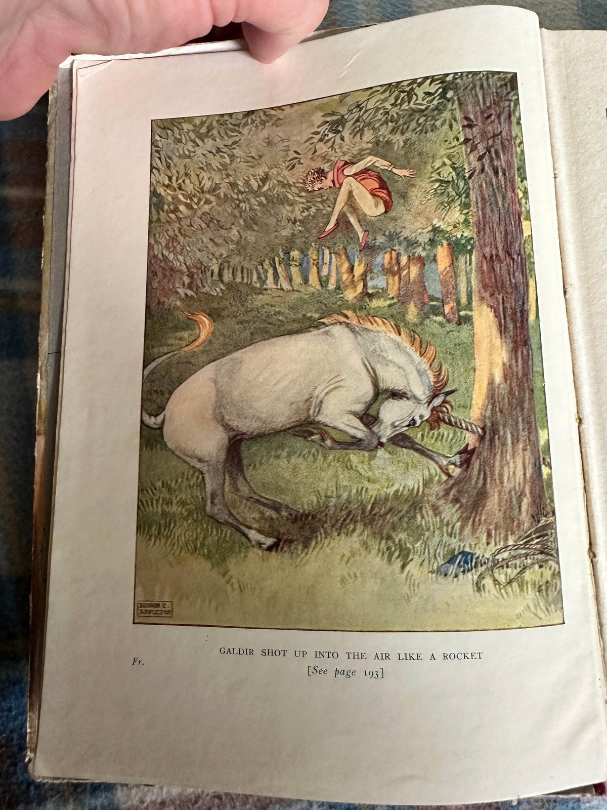 1932 The Book Of Animal Tales - Stephen Southwold (Honor C. Appleton illustration)George Harrap - Honeyburn Books (UK)