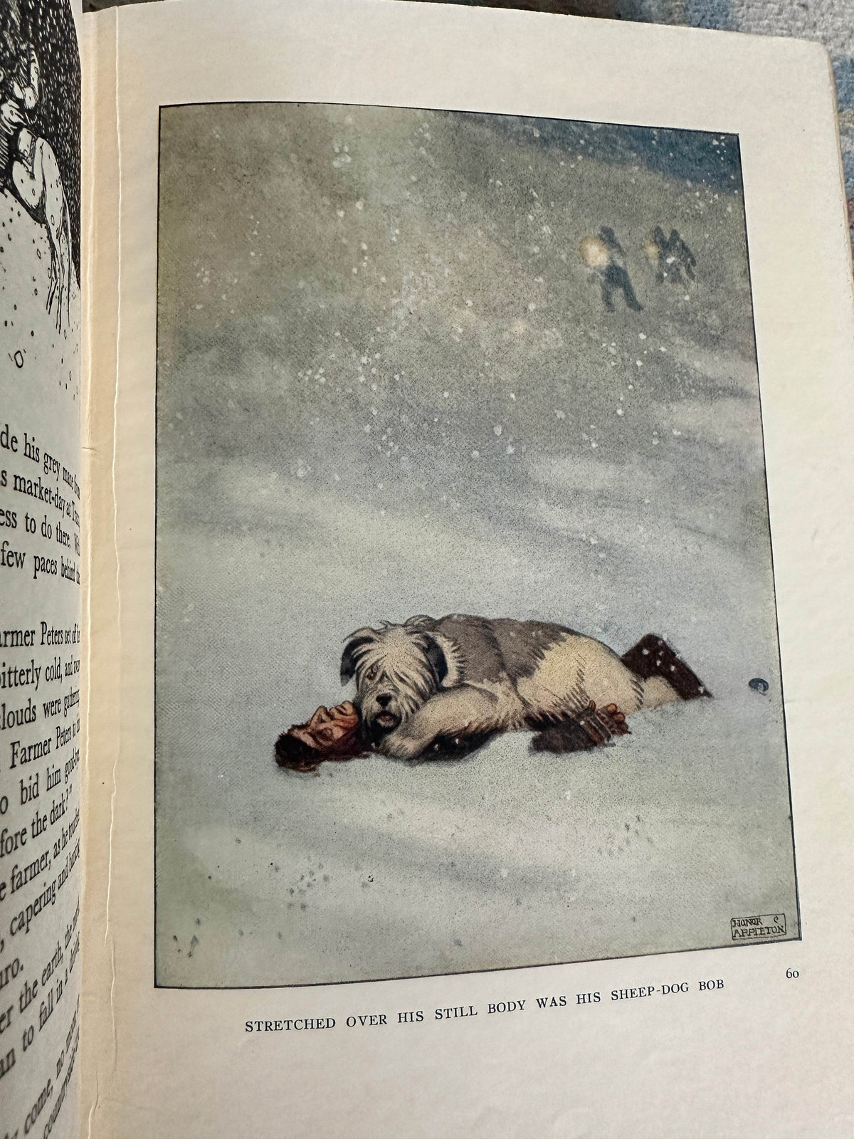1932 The Book Of Animal Tales - Stephen Southwold (Honor C. Appleton illustration)George Harrap - Honeyburn Books (UK)