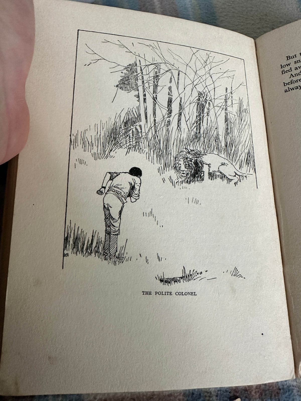 1932 The Book Of Animal Tales - Stephen Southwold (Honor C. Appleton illustration)George Harrap - Honeyburn Books (UK)