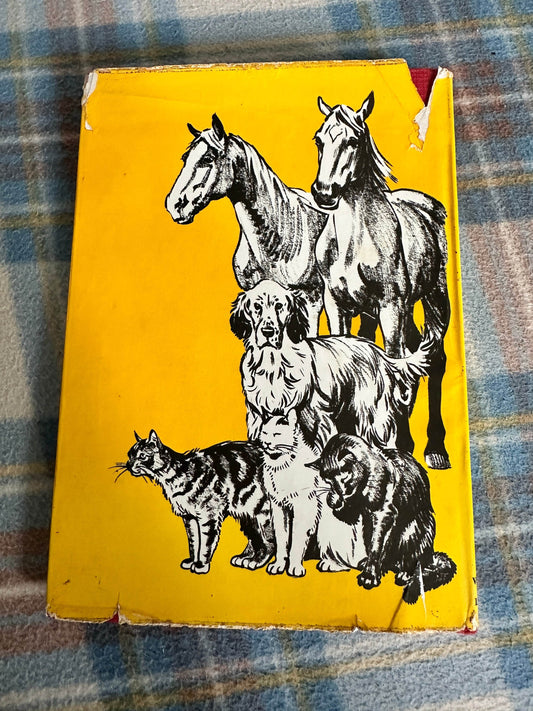 1969*1st* Oh! My Ears & Whiskers! - Aurea Weldon(Joan Thompson Illust)Ward Lock & Co Ltd - Honeyburn Books (UK)