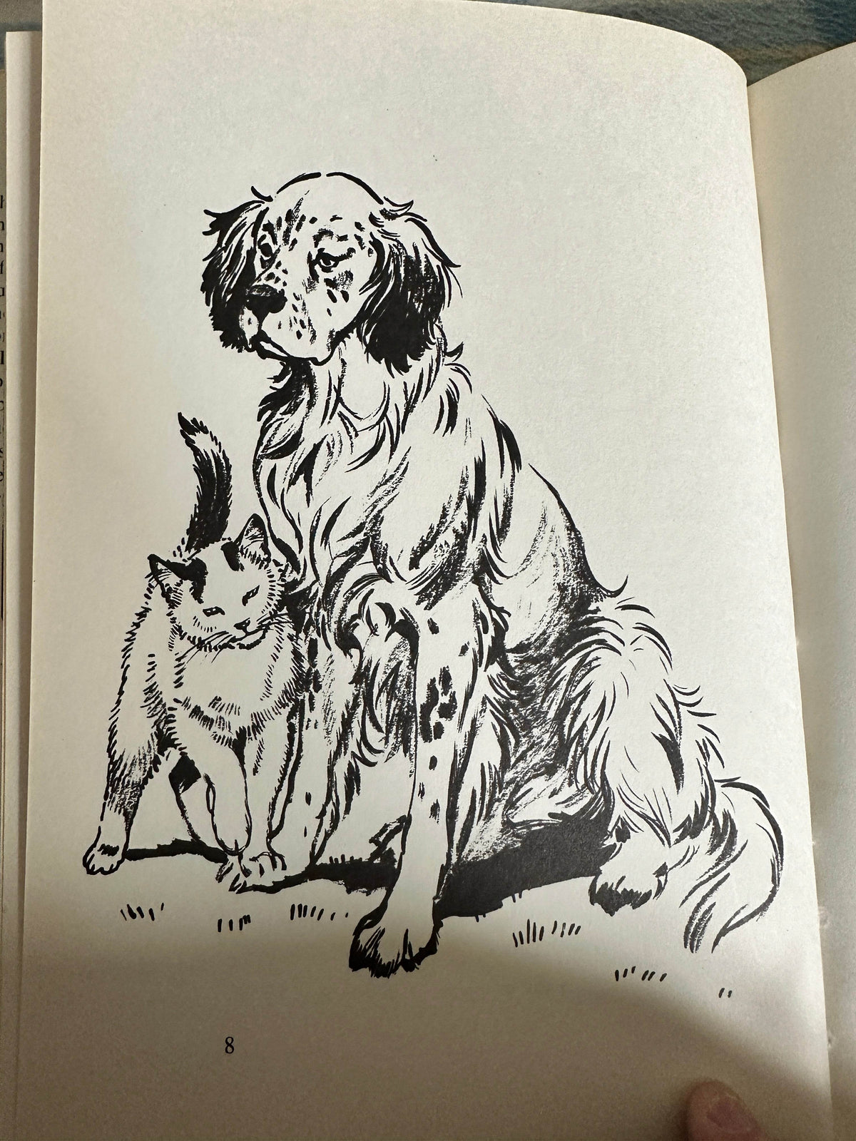 1969*1st* Oh! My Ears & Whiskers! - Aurea Weldon(Joan Thompson Illust)Ward Lock & Co Ltd - Honeyburn Books (UK)