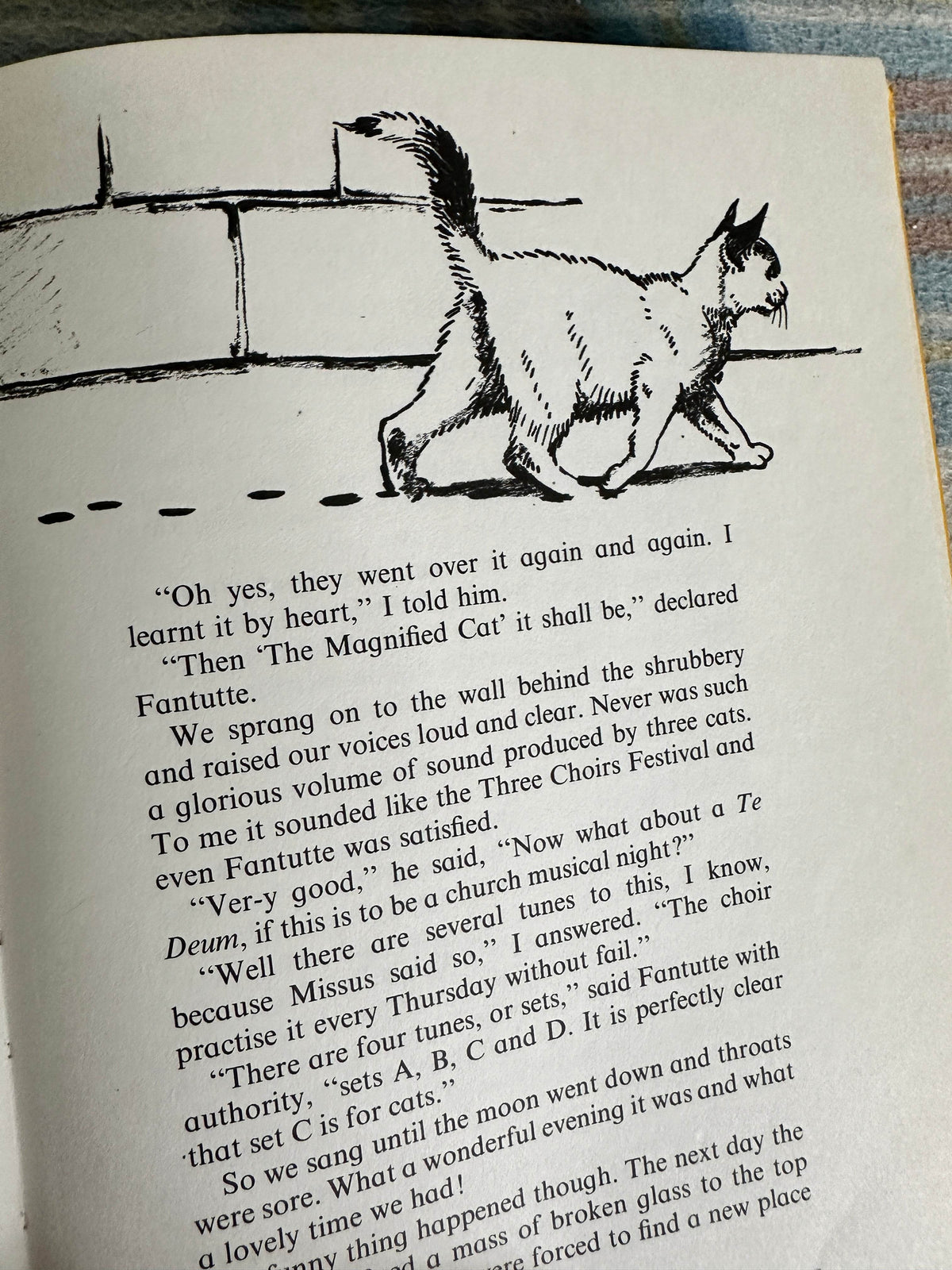 1969*1st* Oh! My Ears & Whiskers! - Aurea Weldon(Joan Thompson Illust)Ward Lock & Co Ltd - Honeyburn Books (UK)