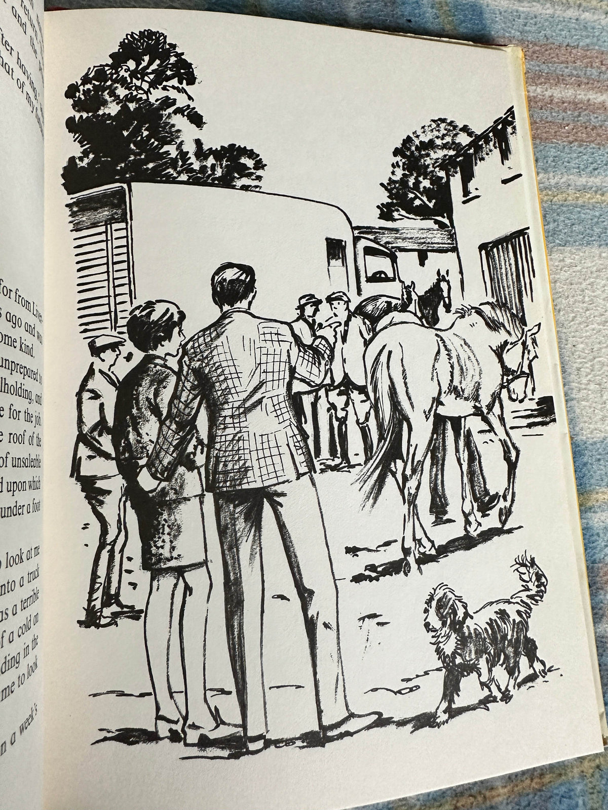 1969*1st* Oh! My Ears & Whiskers! - Aurea Weldon(Joan Thompson Illust)Ward Lock & Co Ltd - Honeyburn Books (UK)