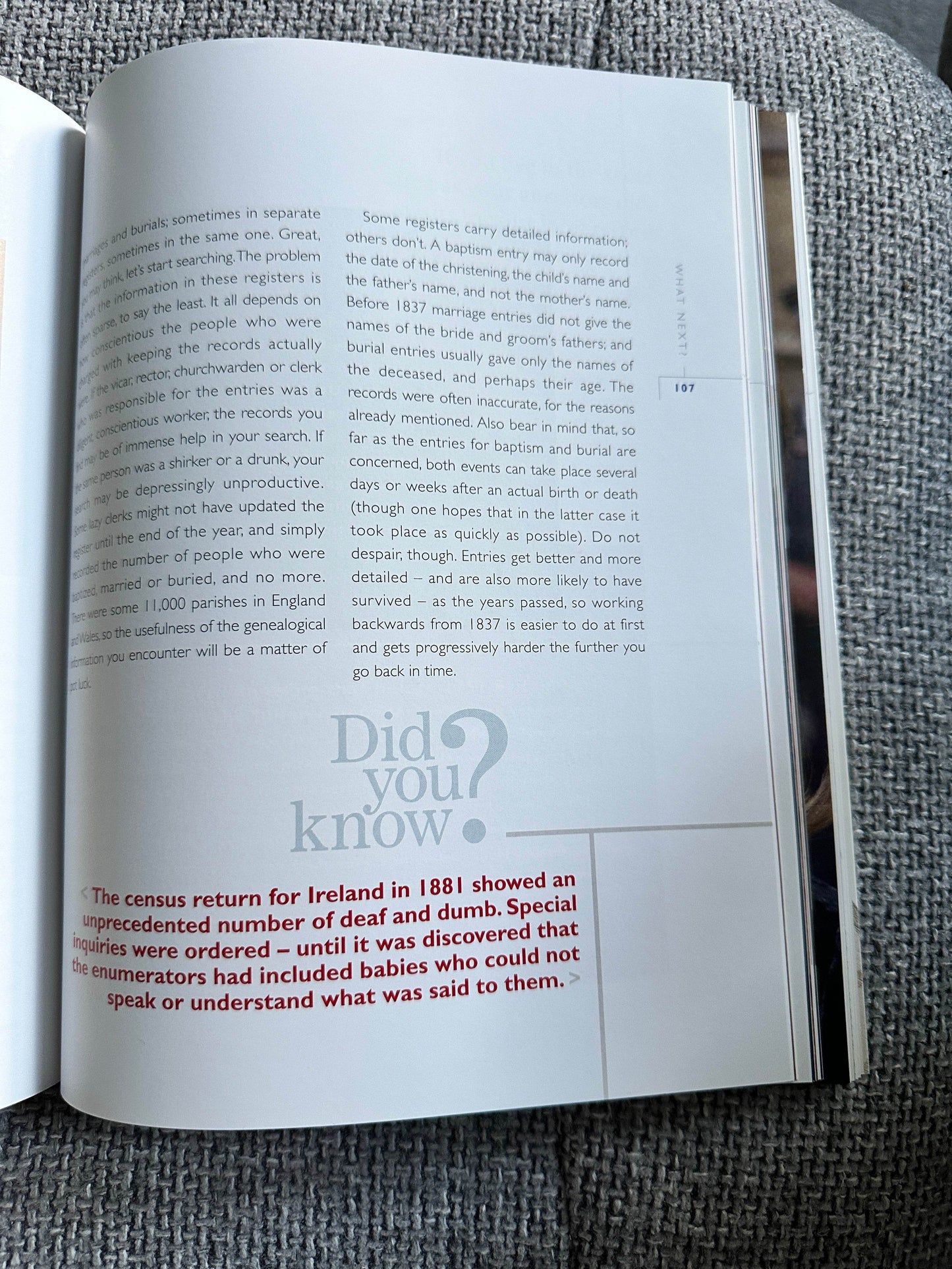 2004 Who Do You Think You Are? Dan Waddell(BBC Books) - Honeyburn Books (UK)