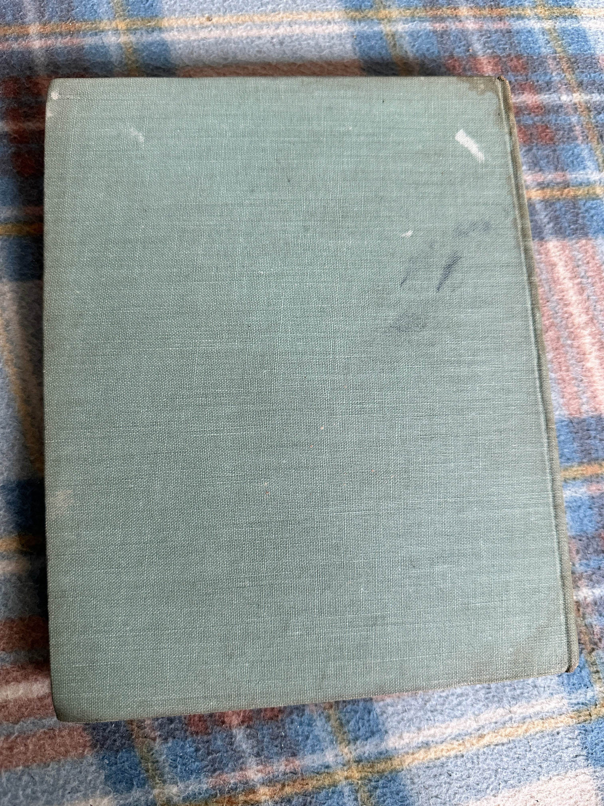1945*1st* Aldous Greenwing’s Fortune - M. Forster Knight(Illustrator & author) Country Life - Honeyburn Books (UK)