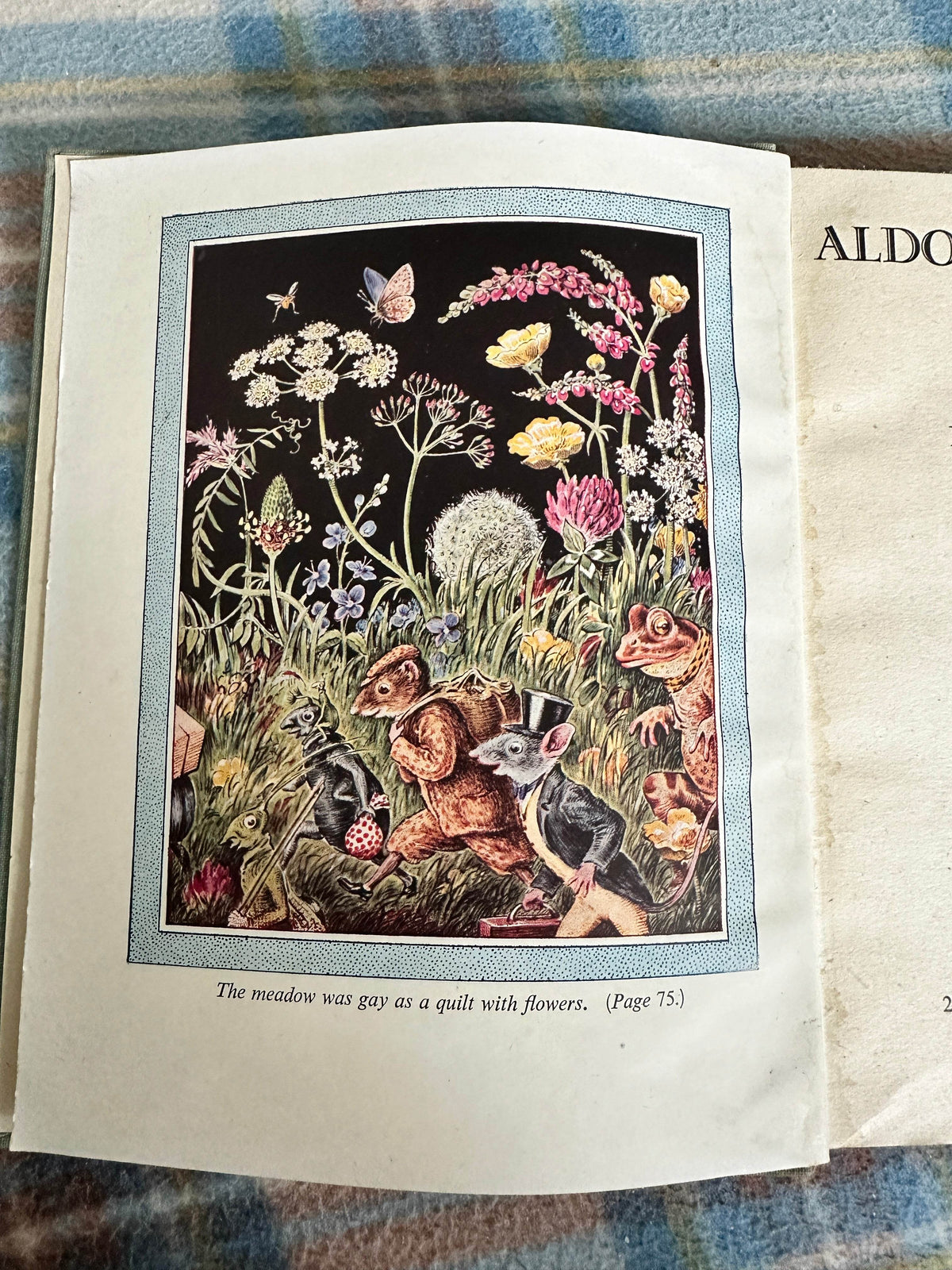1945*1st* Aldous Greenwing’s Fortune - M. Forster Knight(Illustrator & author) Country Life - Honeyburn Books (UK)