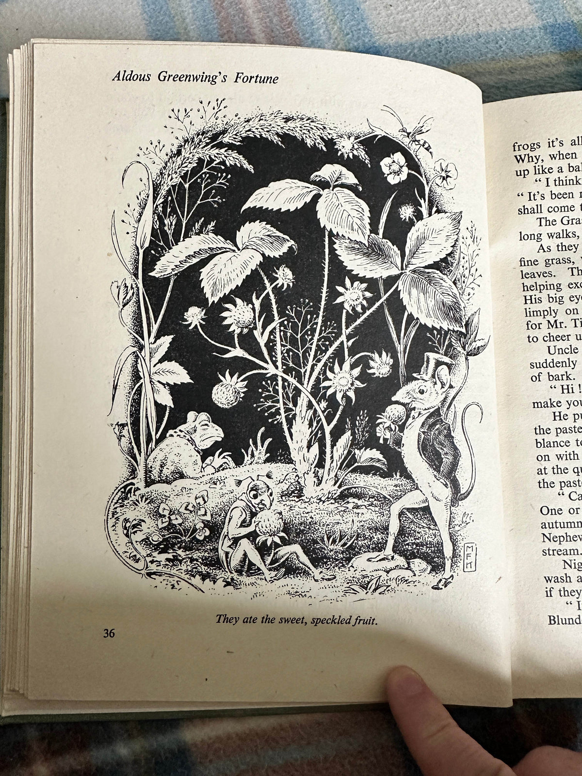 1945*1st* Aldous Greenwing’s Fortune - M. Forster Knight(Illustrator & author) Country Life - Honeyburn Books (UK)