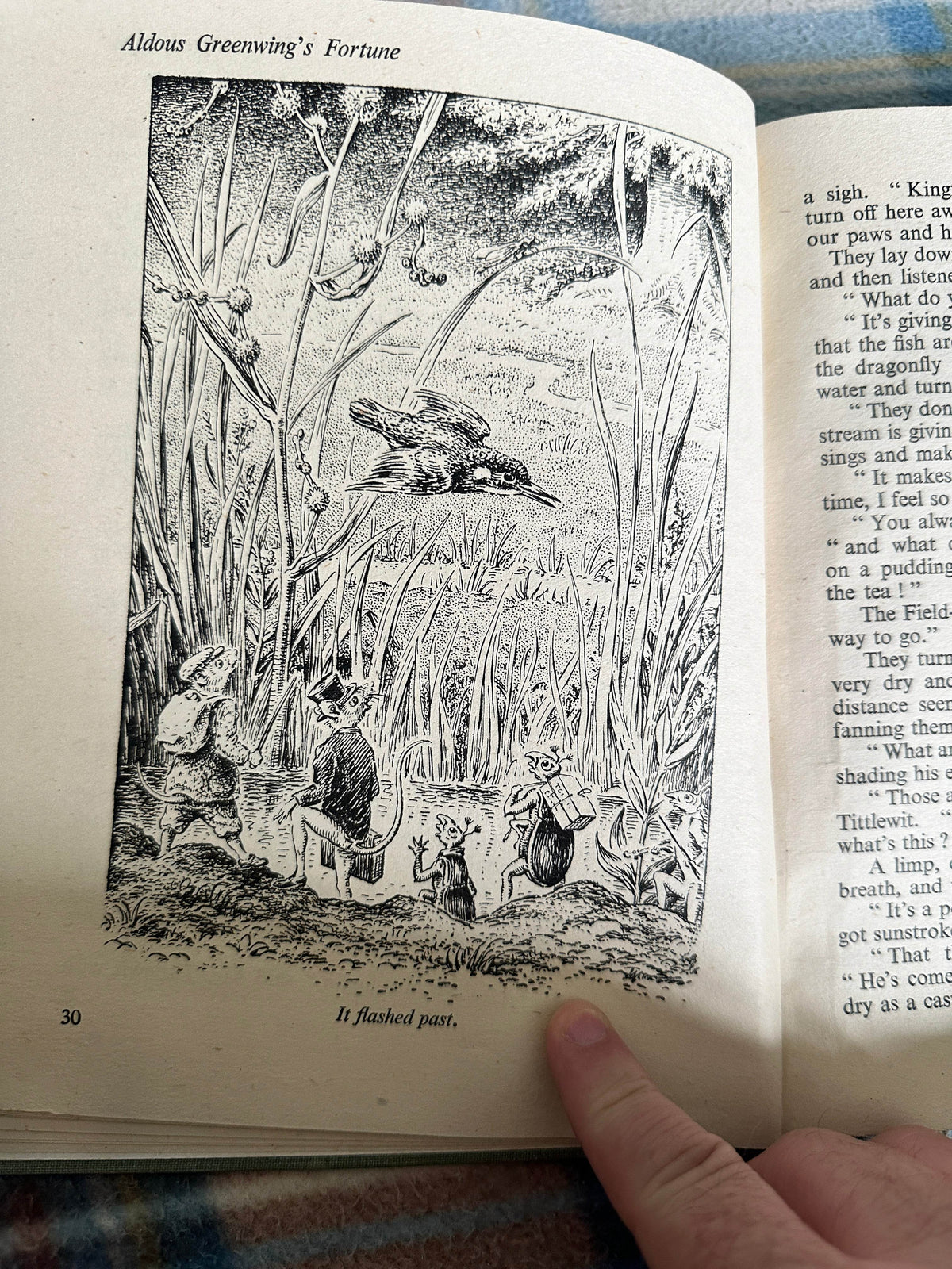 1945*1st* Aldous Greenwing’s Fortune - M. Forster Knight(Illustrator & author) Country Life - Honeyburn Books (UK)