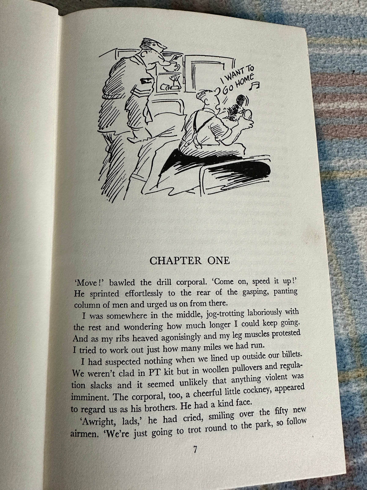 1976 Vets Might Fly - James Herriot(Larry illustration) Michael Joseph published - Honeyburn Books (UK)