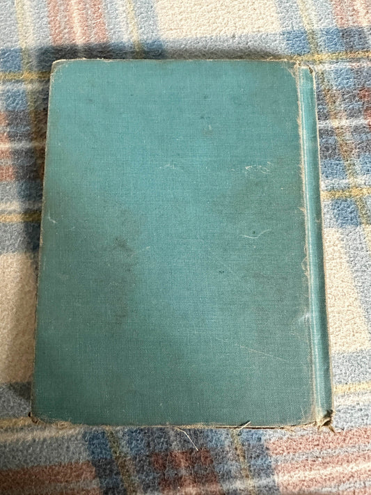 1953 Bucky Button - Edith S. McCall(Jack Faulkner Illust)Beckley Cardy Chicago - Honeyburn Books (UK)