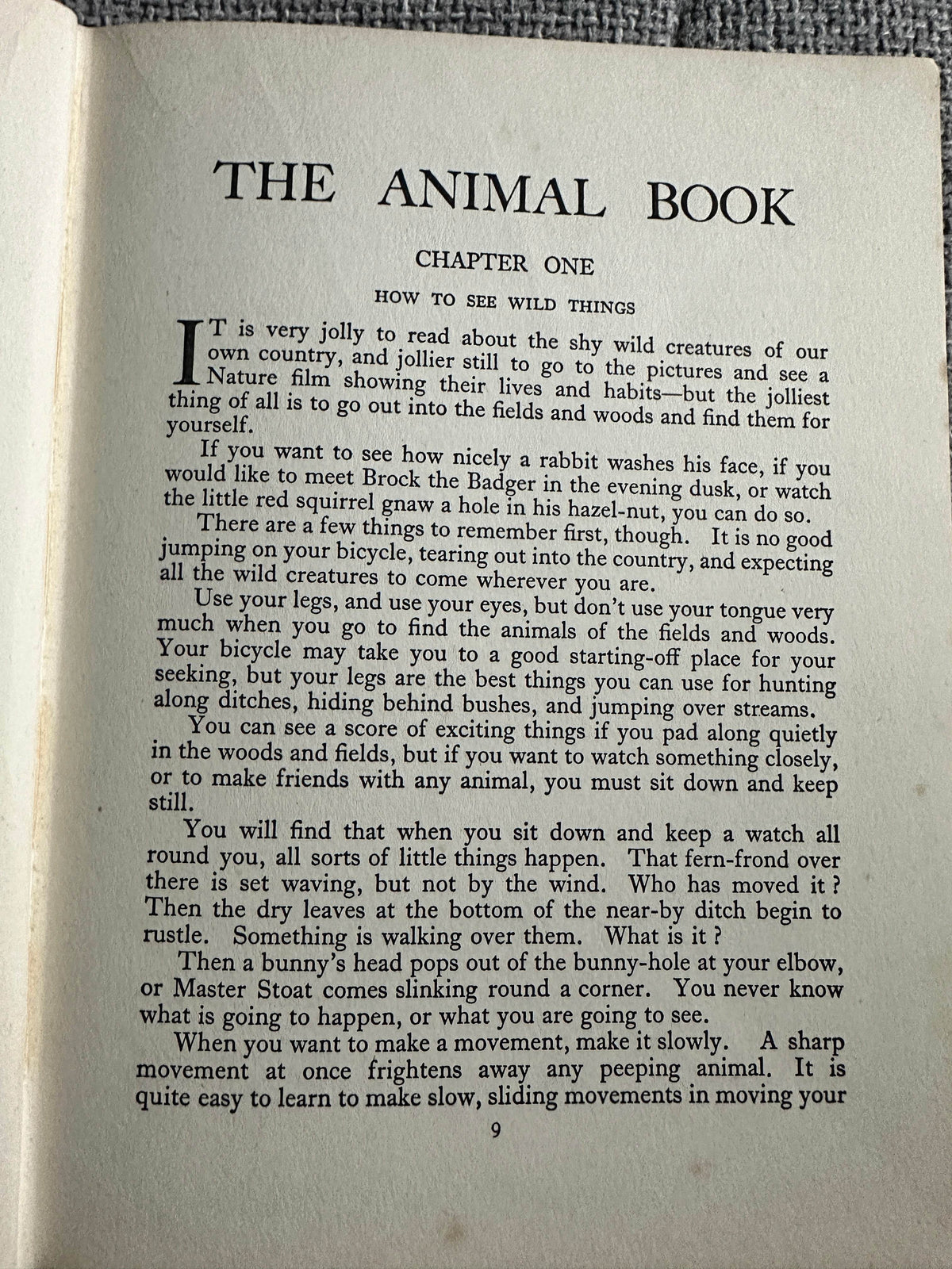 1927*1st* The Animal Book - Enid Blyton(Various Artists) George Newnes Ltd - Honeyburn Books (UK)