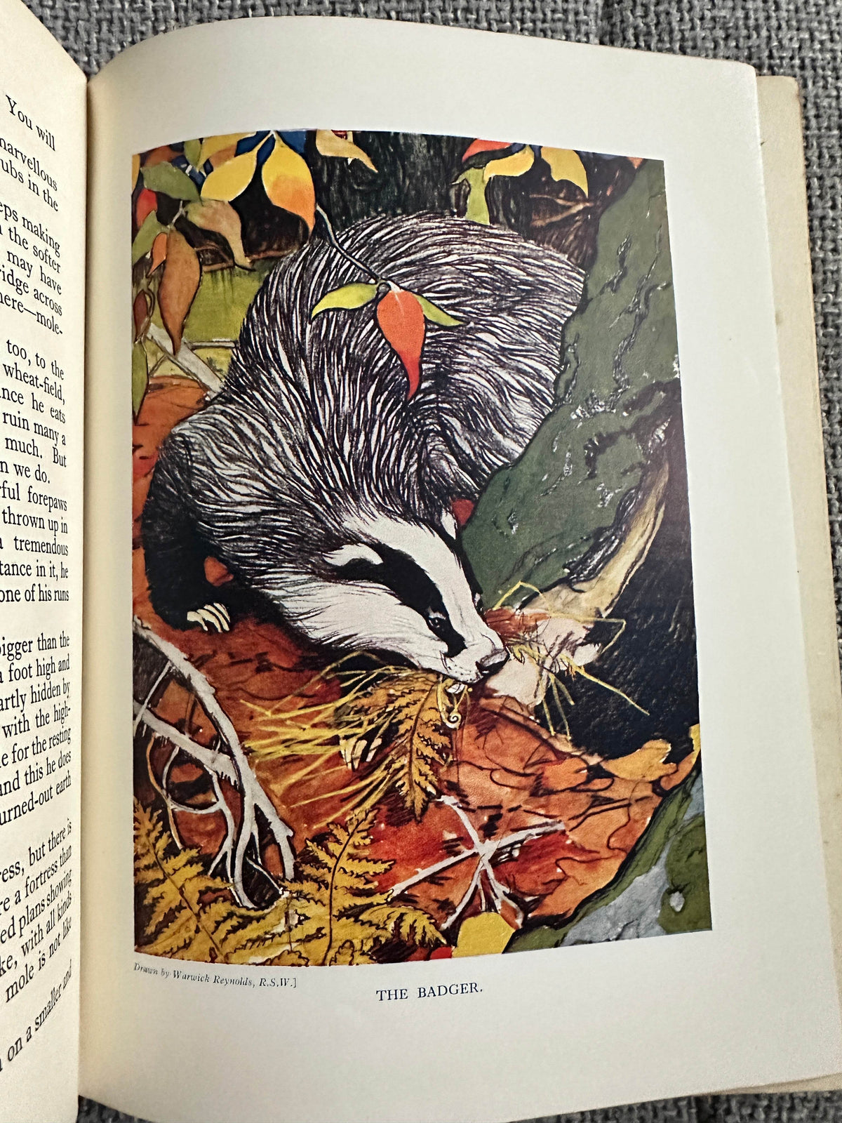 1927*1st* The Animal Book - Enid Blyton(Various Artists) George Newnes Ltd - Honeyburn Books (UK)