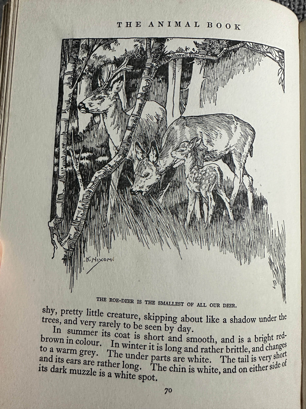 1927*1st* The Animal Book - Enid Blyton(Various Artists) George Newnes Ltd - Honeyburn Books (UK)