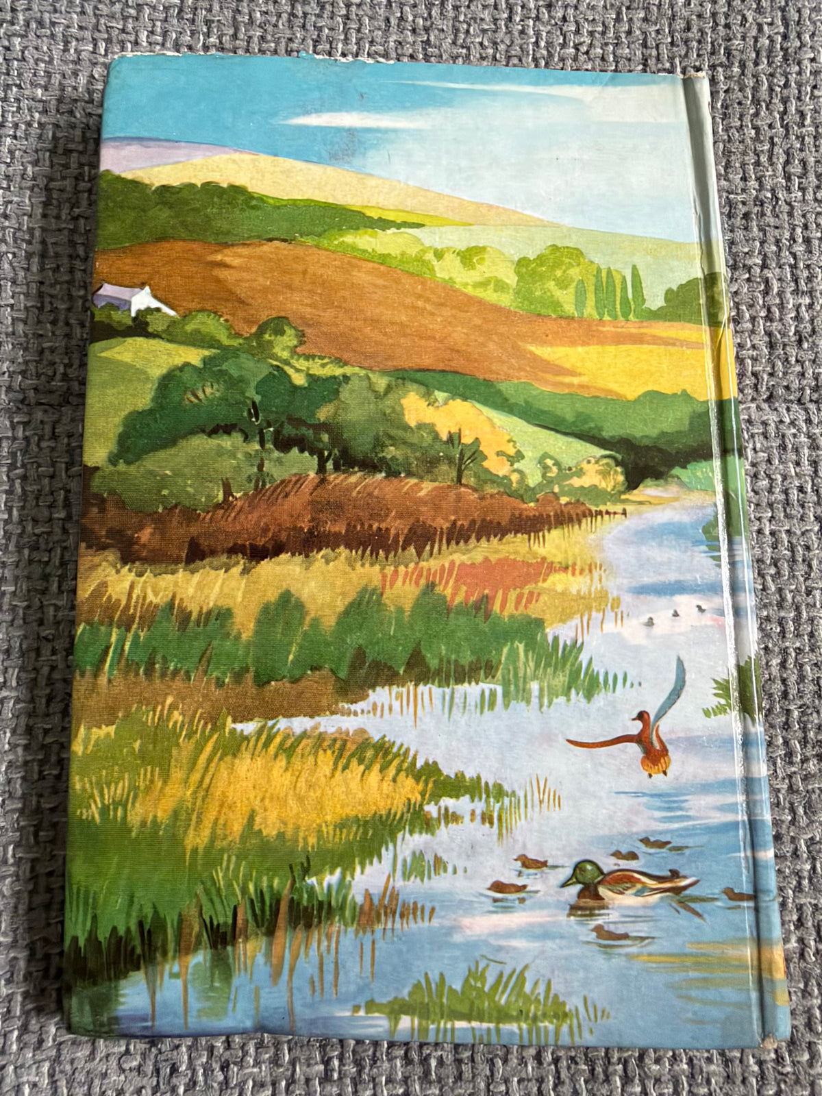 1955 The Children At Happy House - Enid Blyton (Kathleen Gell illust) Latimer House