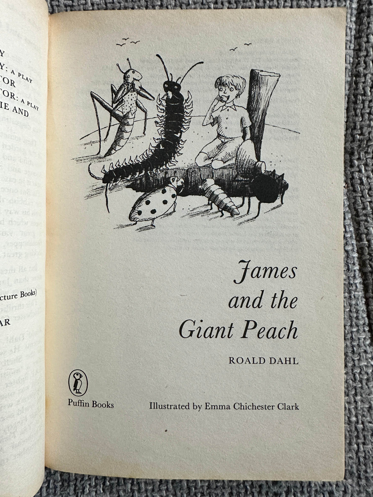 1990 James & The Giant Peach - Roald Dahl (Emma Chichester Clarke Illust) Puffin - Honeyburn Books (UK)