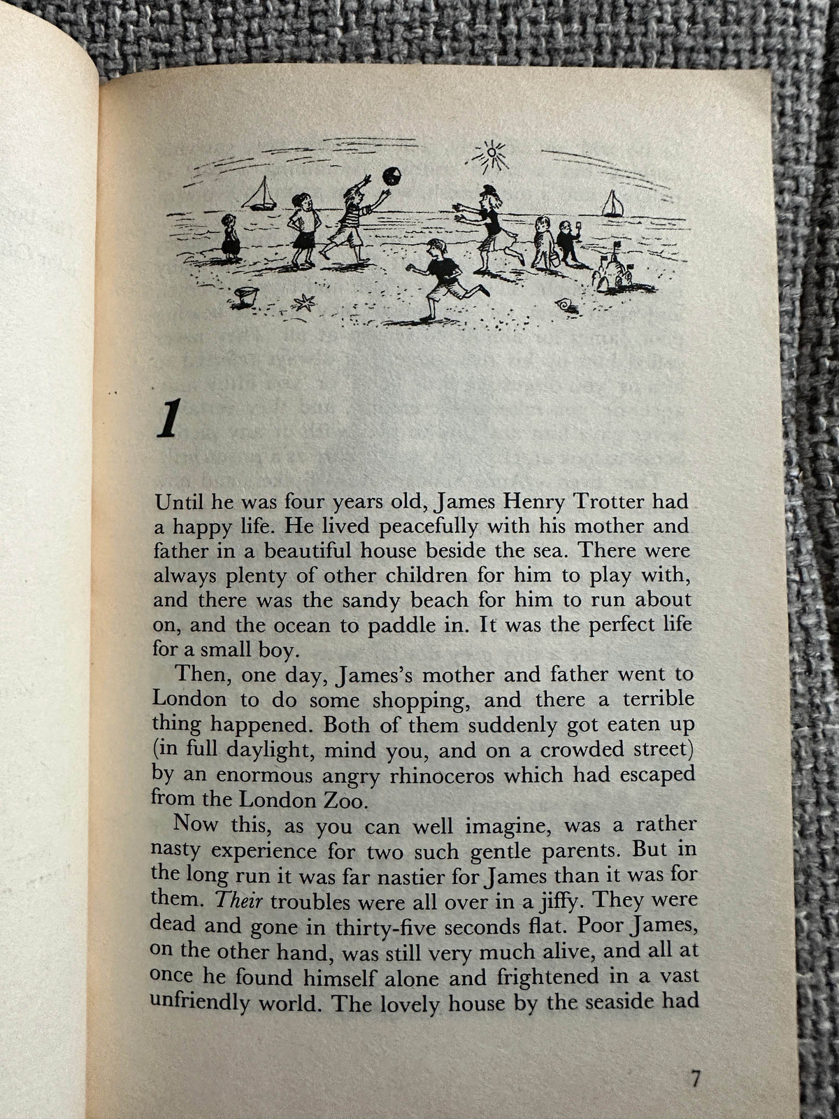 1990 James & The Giant Peach - Roald Dahl (Emma Chichester Clarke Illust) Puffin - Honeyburn Books (UK)