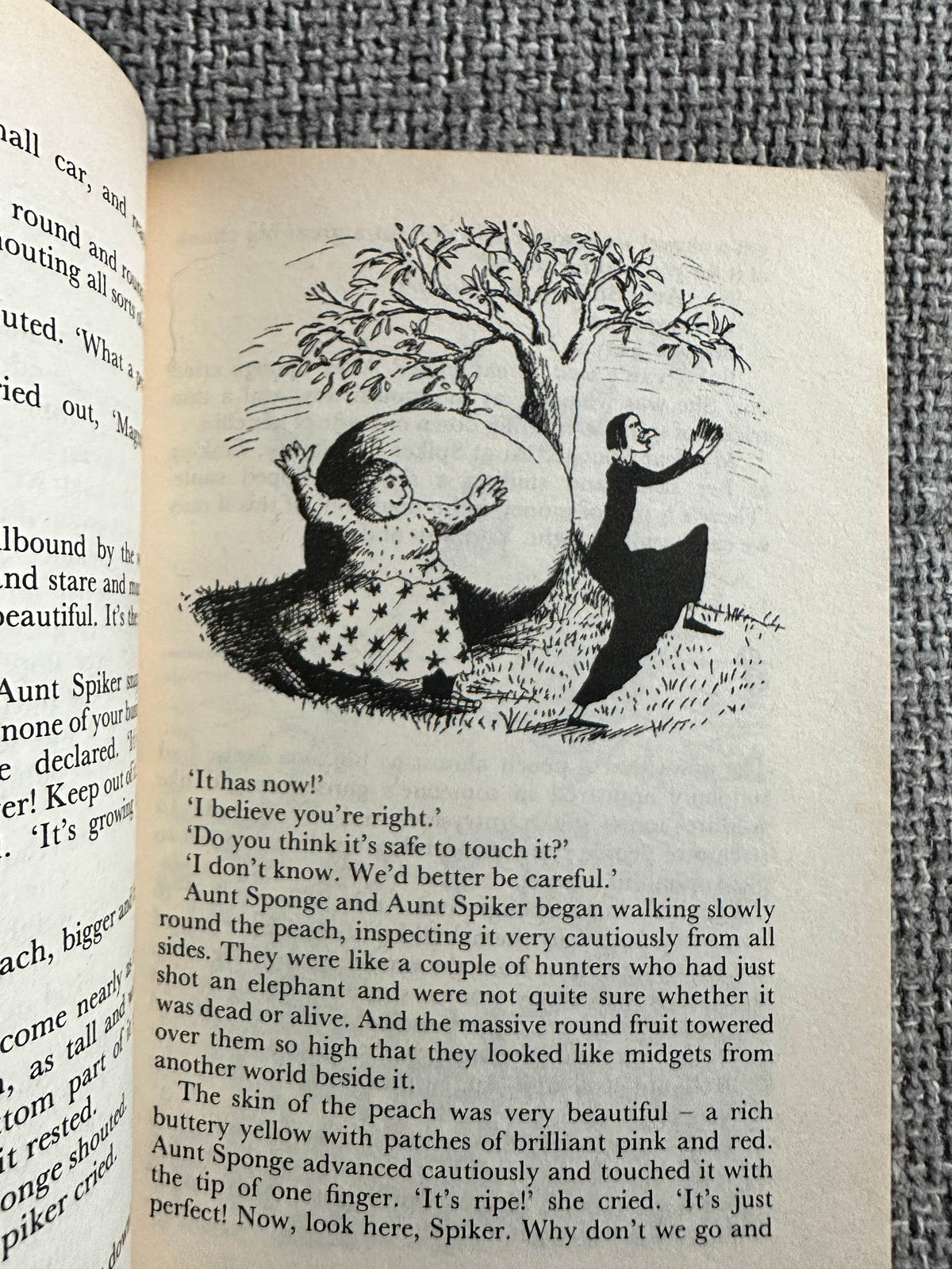 1990 James & The Giant Peach - Roald Dahl (Emma Chichester Clarke Illust) Puffin - Honeyburn Books (UK)