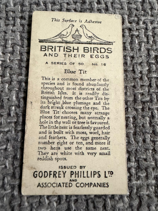 Vintage Cigarette Card — Blue Tit — British Birds & Their Eggs — Godfrey Phillips No.16