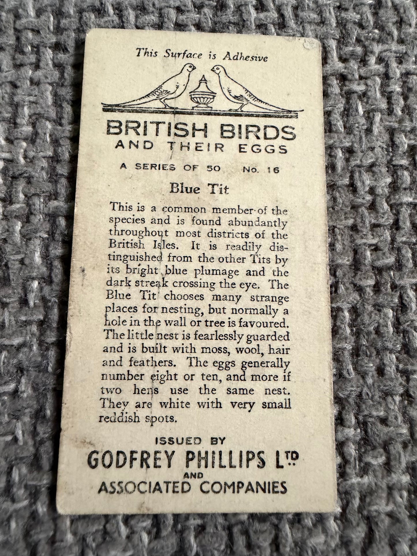 Vintage Cigarette Card — Blue Tit — British Birds & Their Eggs — Godfrey Phillips No.16