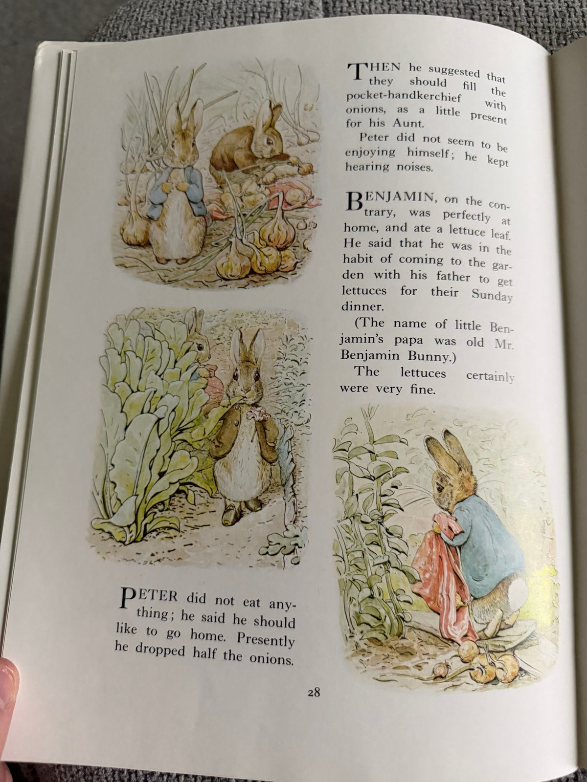 1982 The Complete Adventures Of Peter Rabbit - Beatrix Potter (Frederick Warne & Co Ltd) Large Format