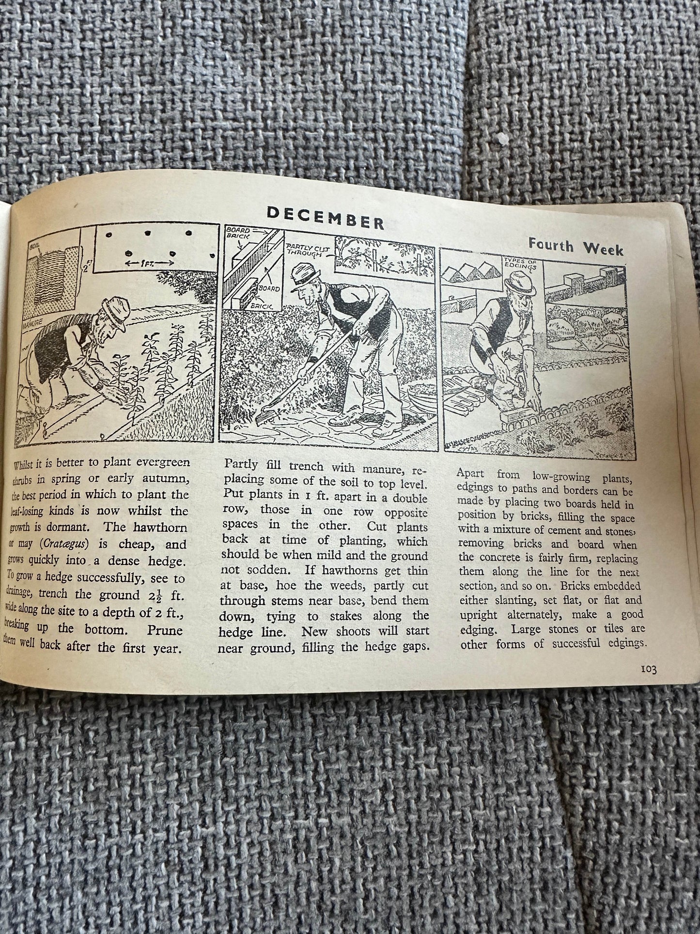 1946 Adam The Gardener - Cyril Cowell(The Sunday Express) - Honeyburn Books (UK)