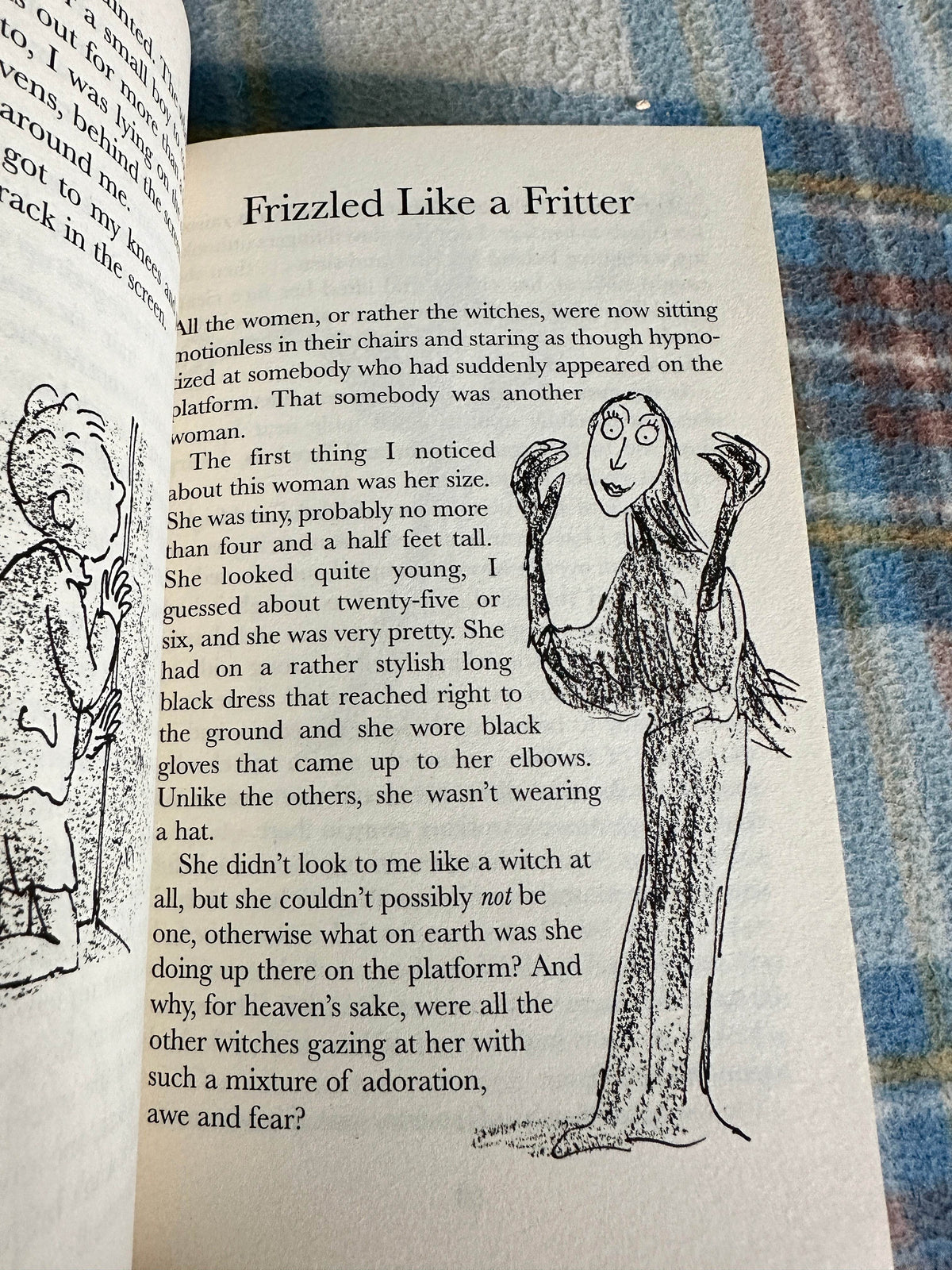 1983 The Witches - Roald Dahl(Quentin Blake illustrated)Puffin Book - Honeyburn Books (UK)