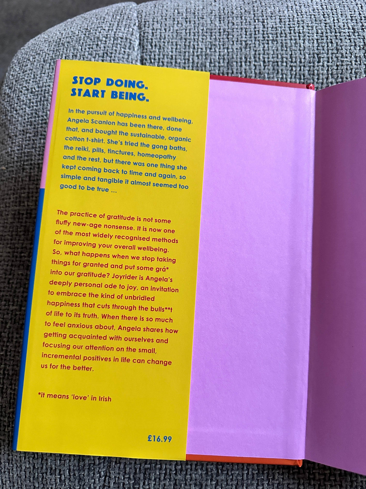 2022*1st Signed* Joyrider - Angela Scanlon(Vermillion Publisher) - Honeyburn Books (UK)